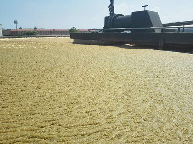 造纸污水处理方案