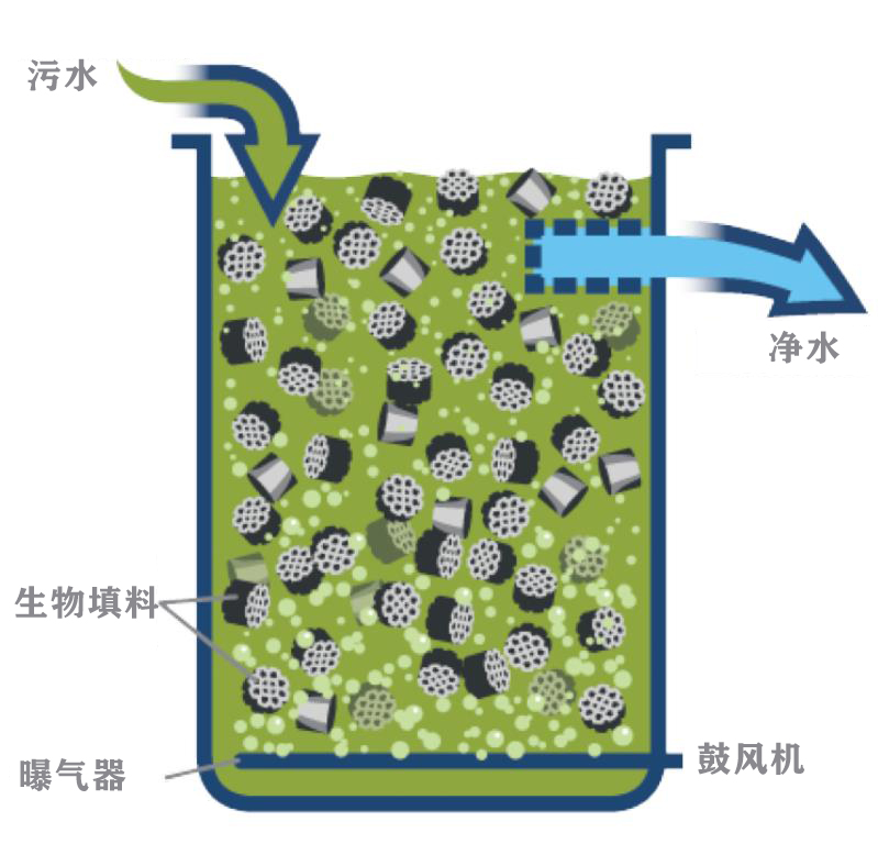 生物填料工作原理