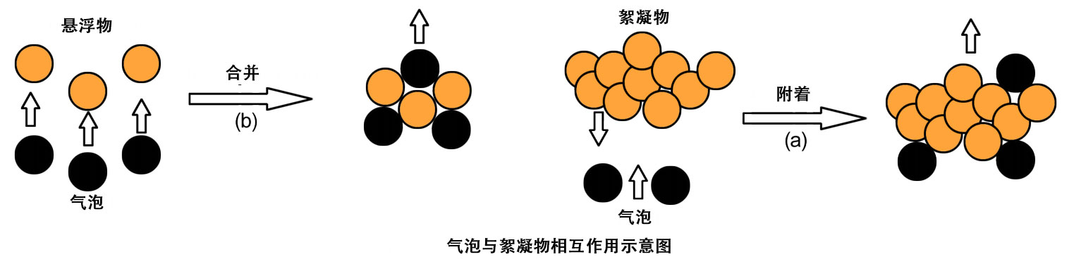 气泡与絮凝物相互作用示意图